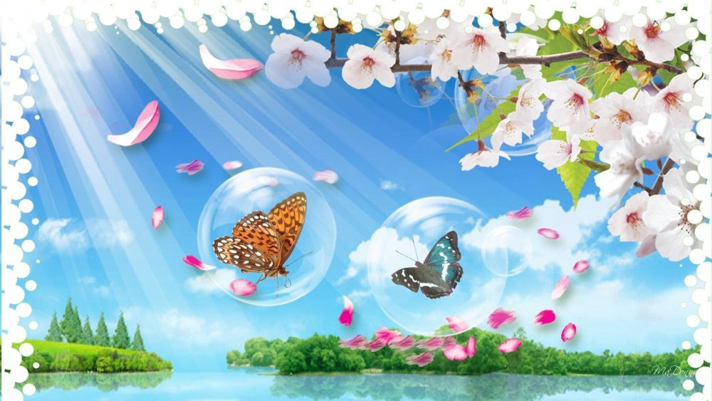 Цветы на бирюзовом фоне