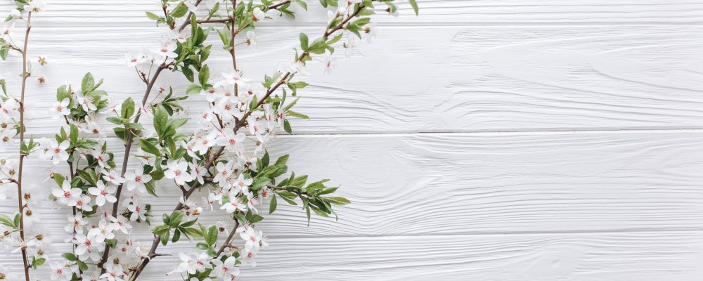 Весенний шаблон для презентации