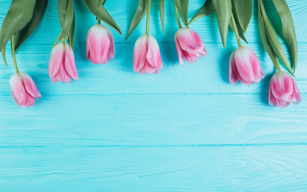 Нежные мелкие цветы