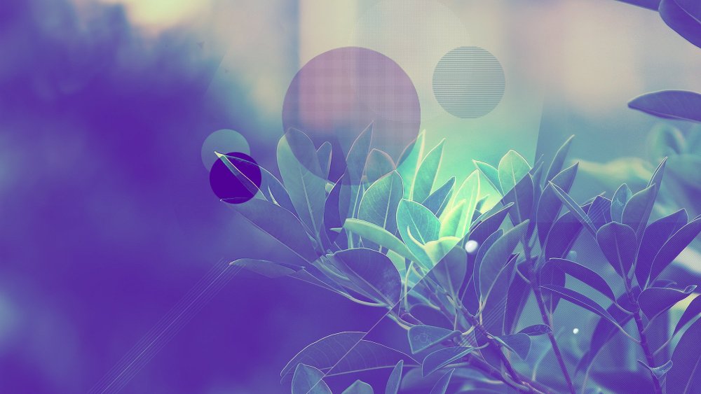 Фон цветочный узор