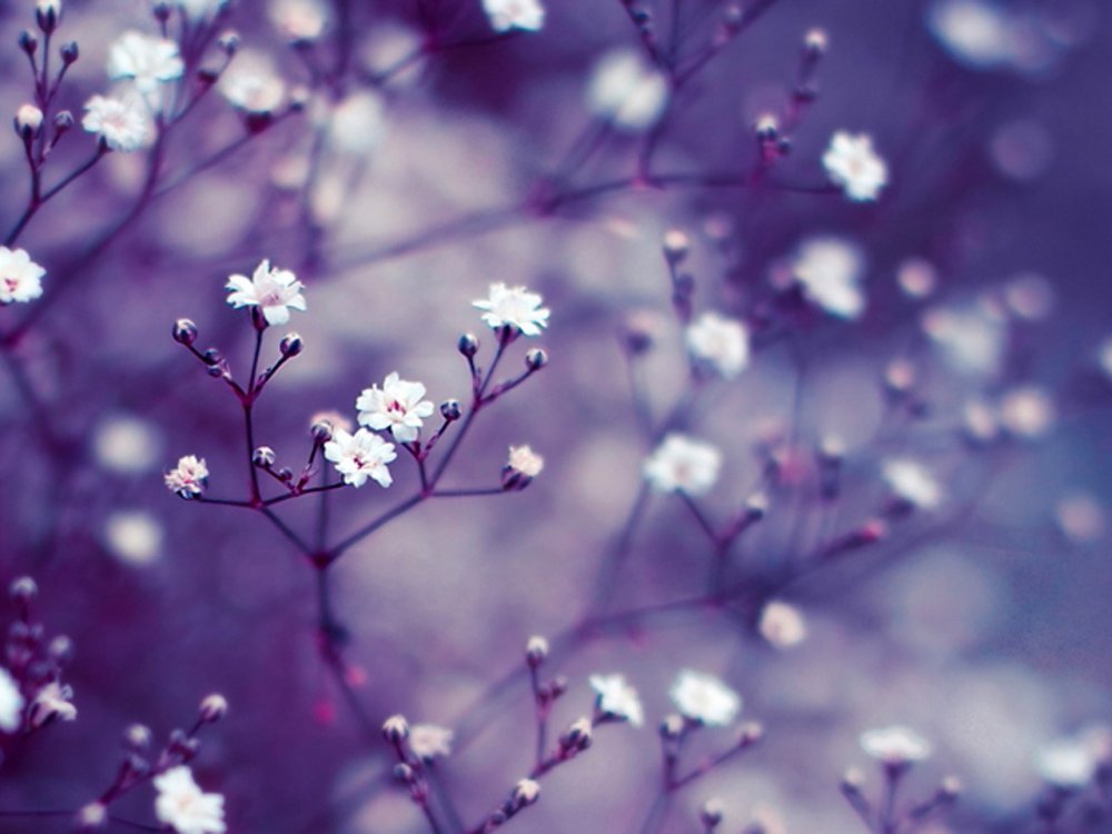 Фотофон для бантов