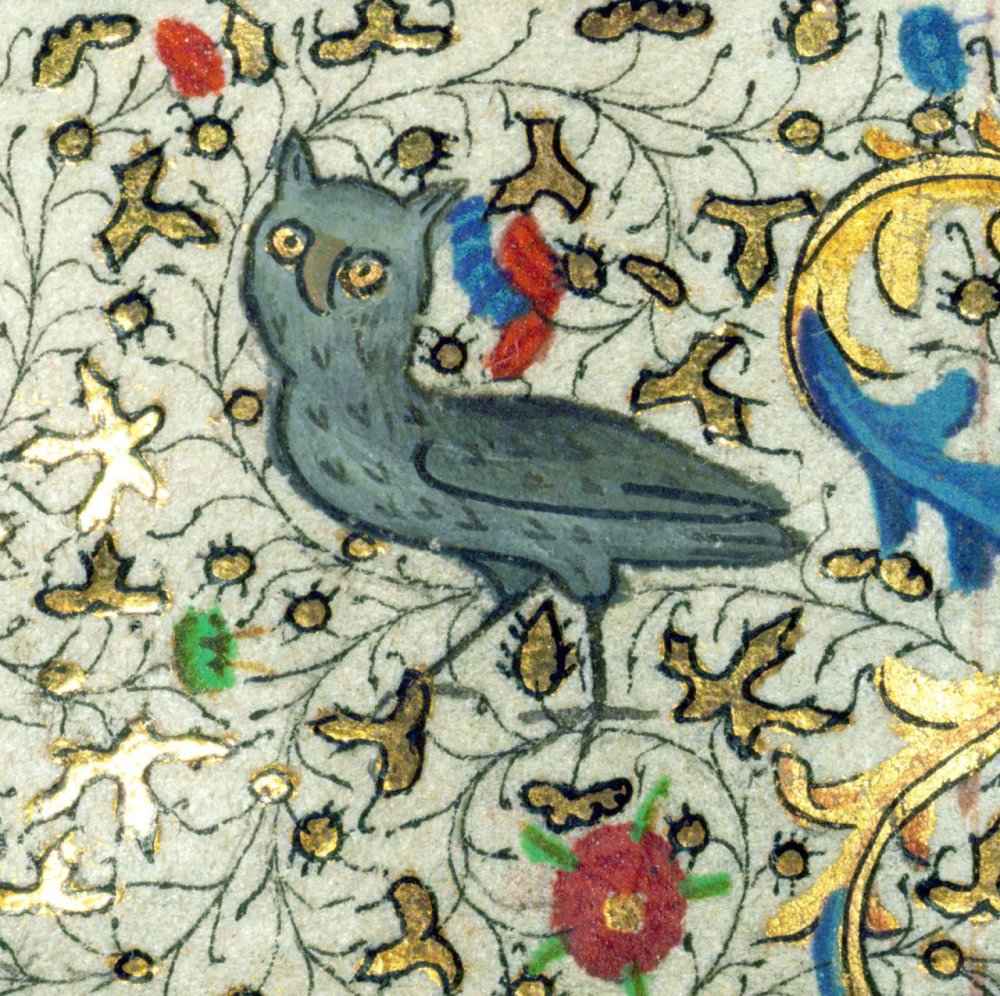 Средневековый Бестиарий Сова