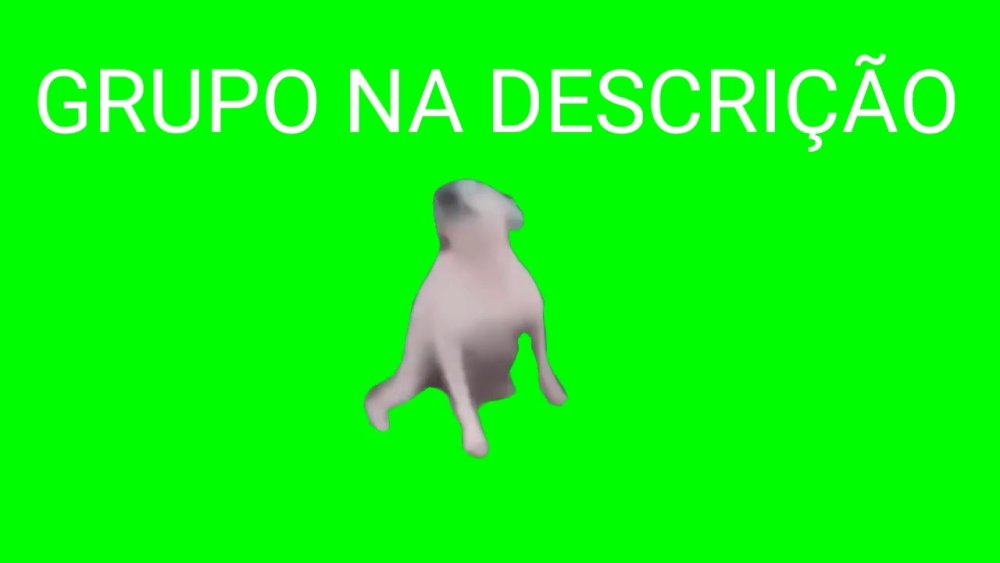 Собака на хромакее