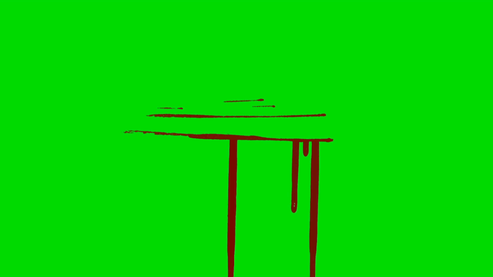 Предметы на зеленом фоне