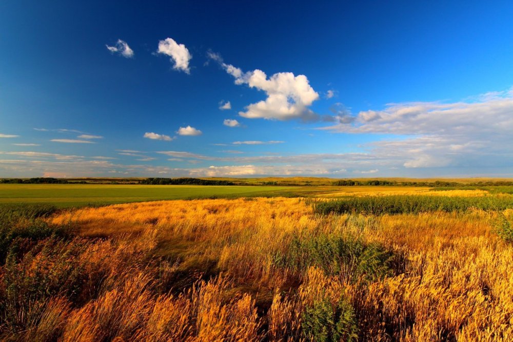 Федор Лашков ковыль степь горы