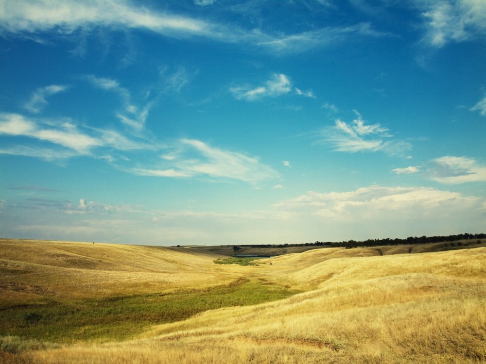 Мой край родной Калмыкия