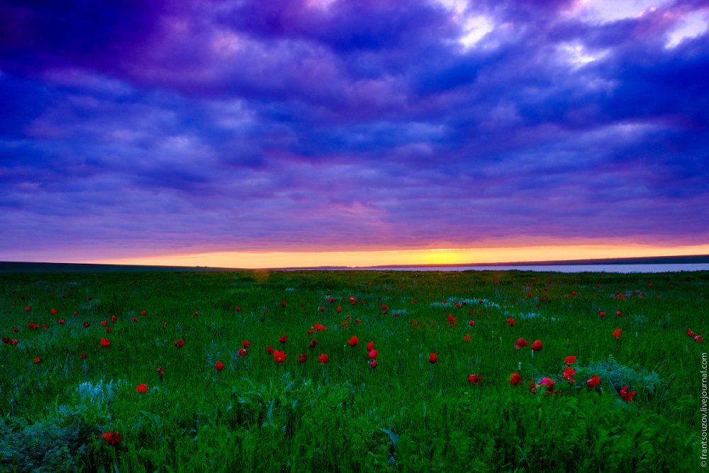 Бескрайние степи Калмыкии