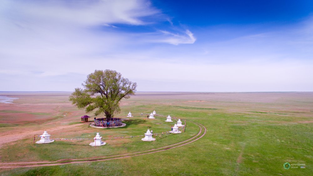 Одинокий Тополь в Калмыкии