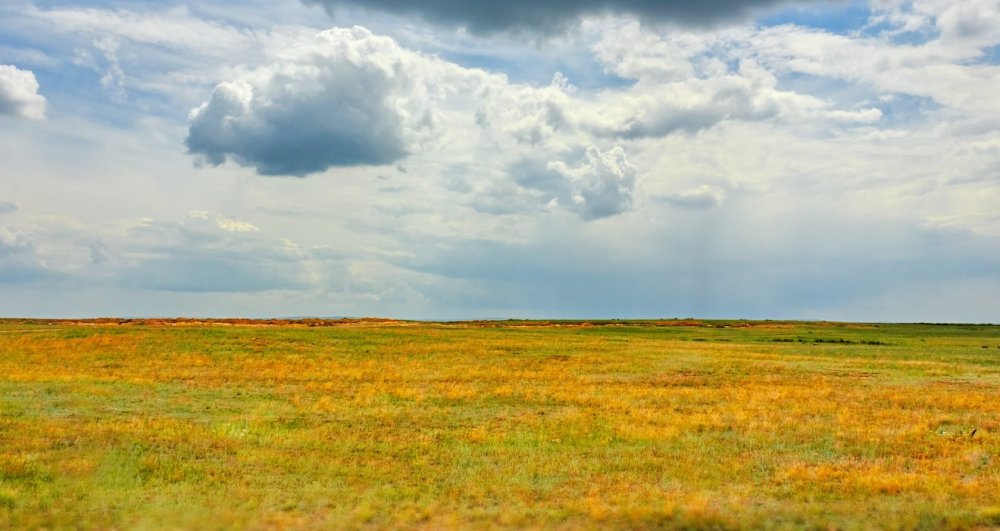 Барабинская степь