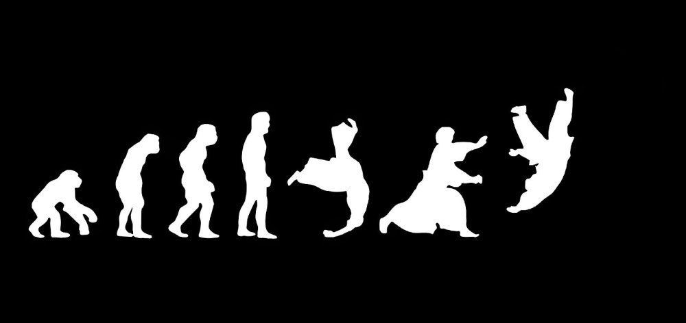 Эволюция каратиста