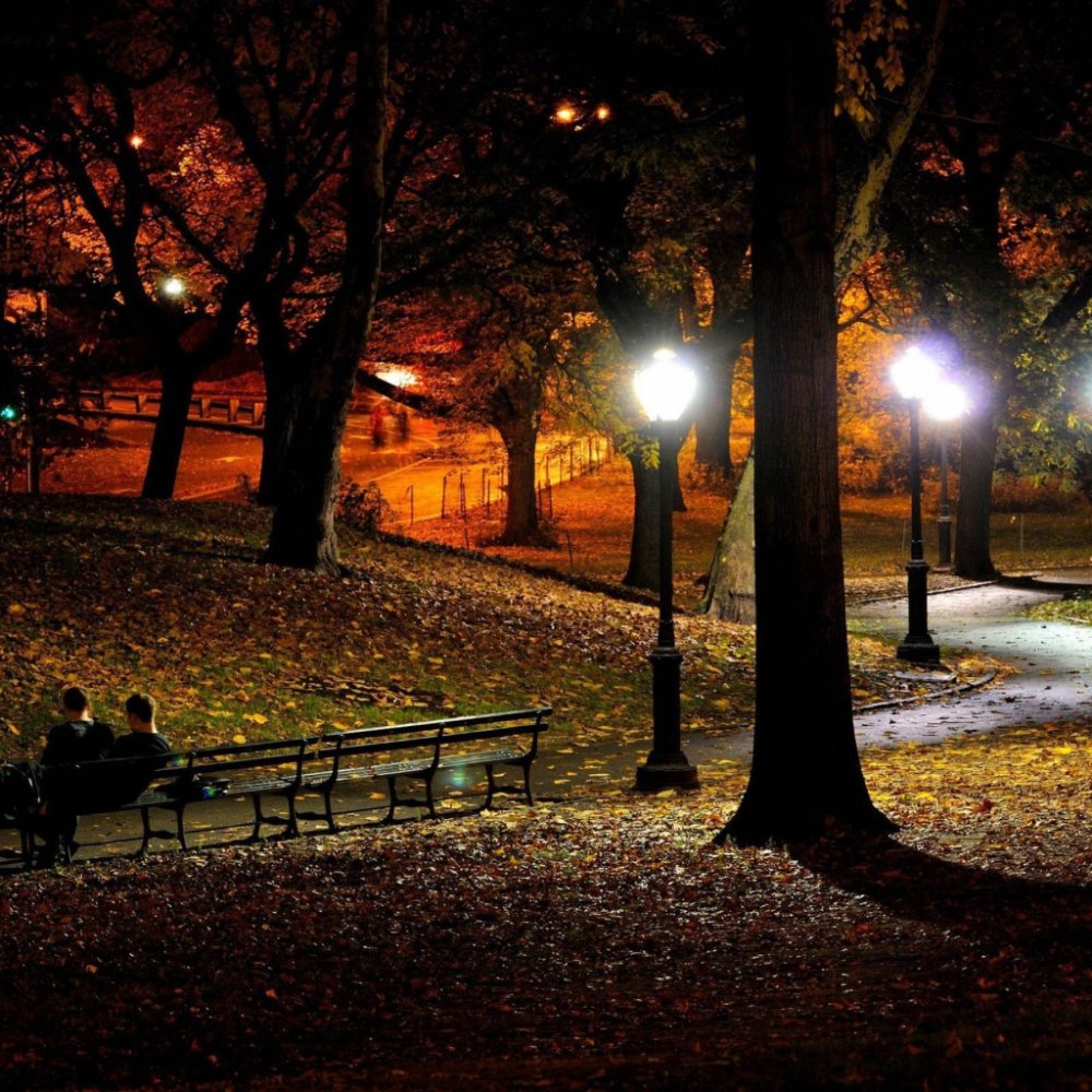Осенний парк ночью