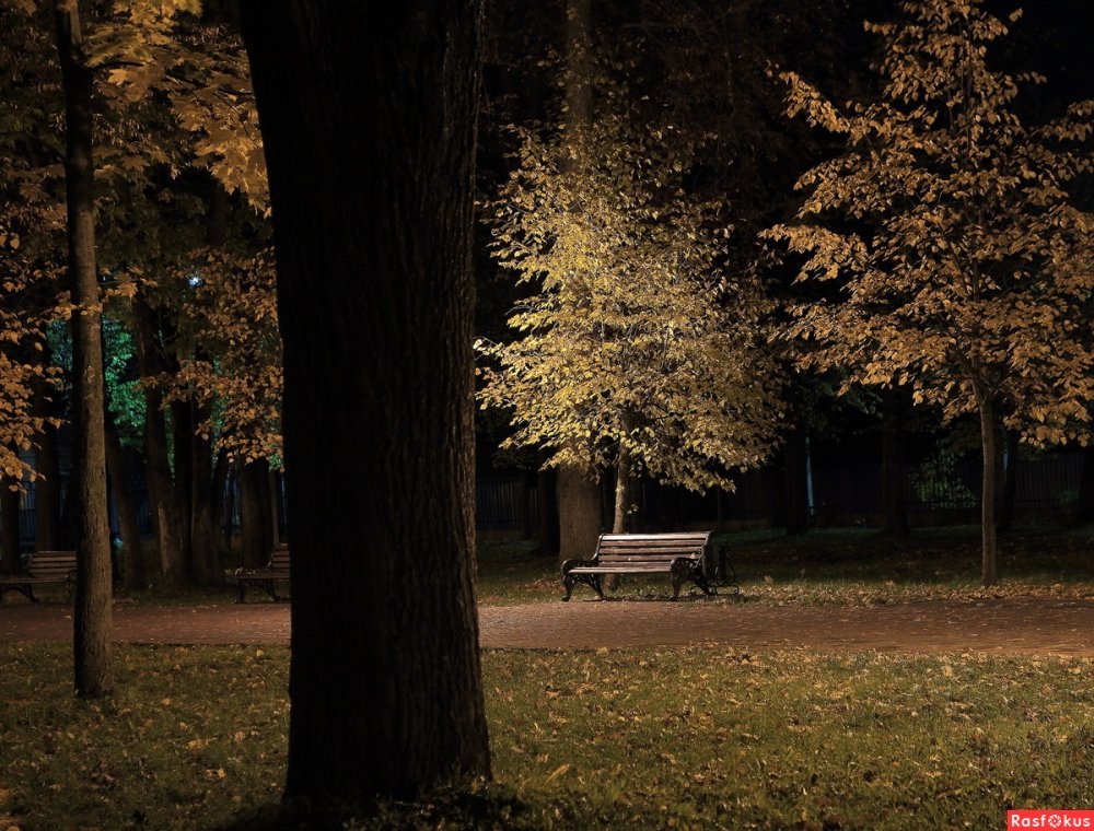 Осень парк вечер