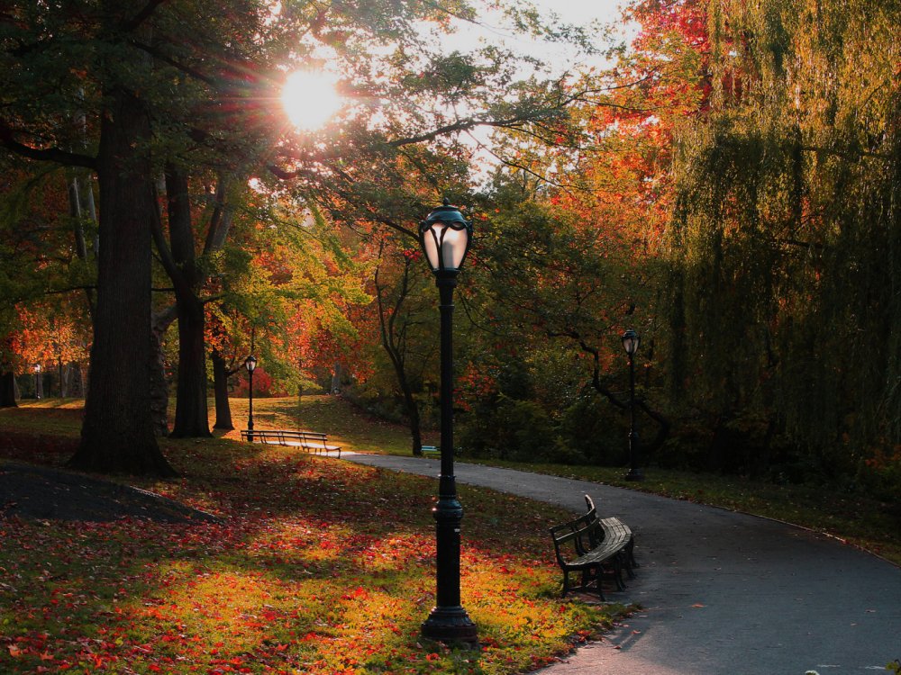 Аллея с фонариками