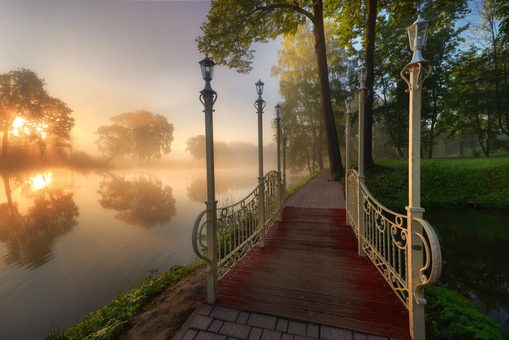 Городской парк г. Чехов