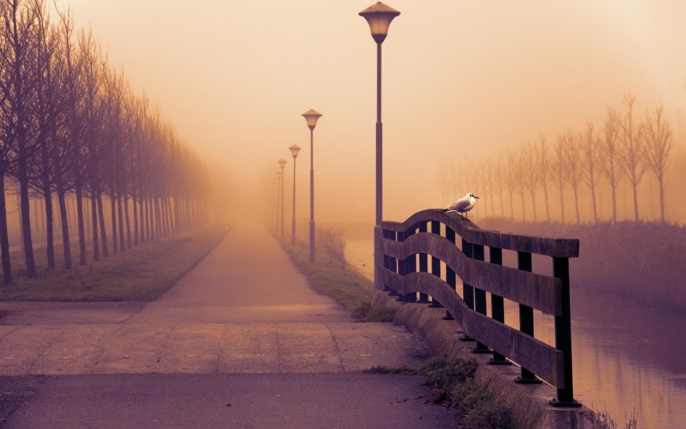 Город в тумане