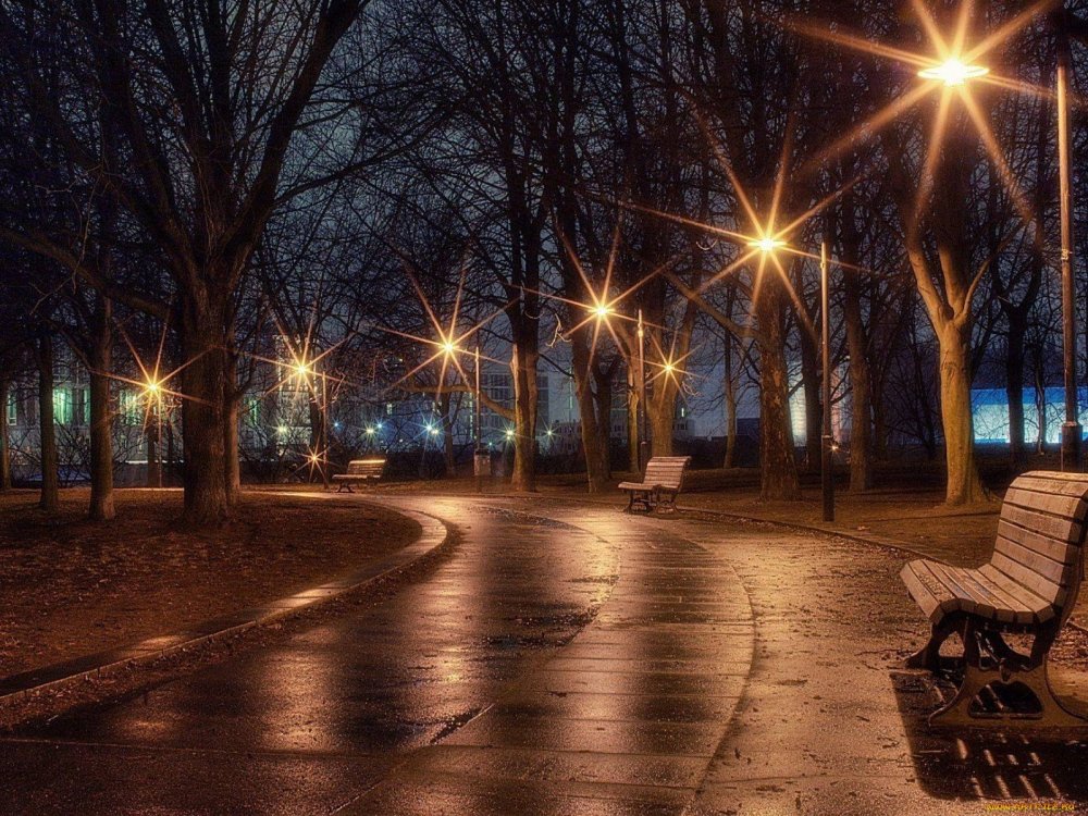 Ночная аллея в парке