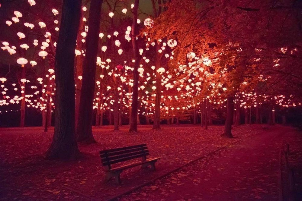 Дерево с огоньками