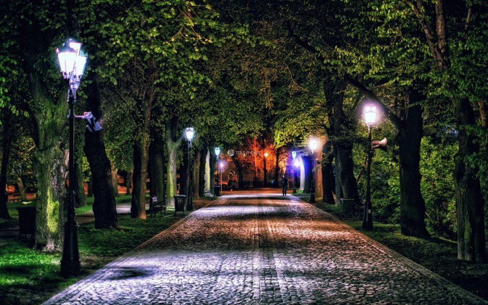 Аллея с фонарями