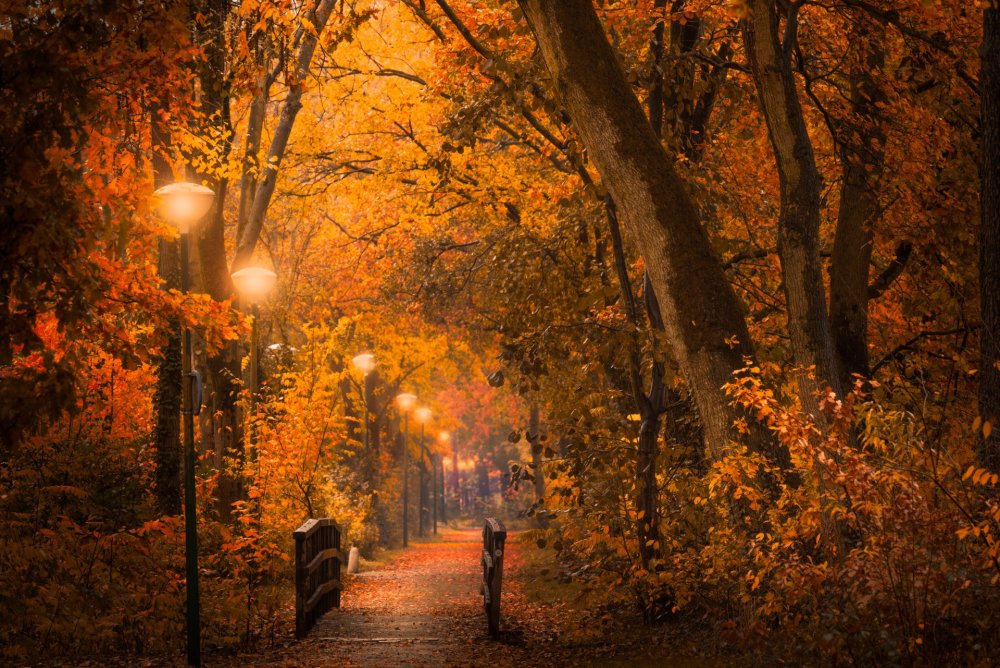 Осенний парк с фонарями