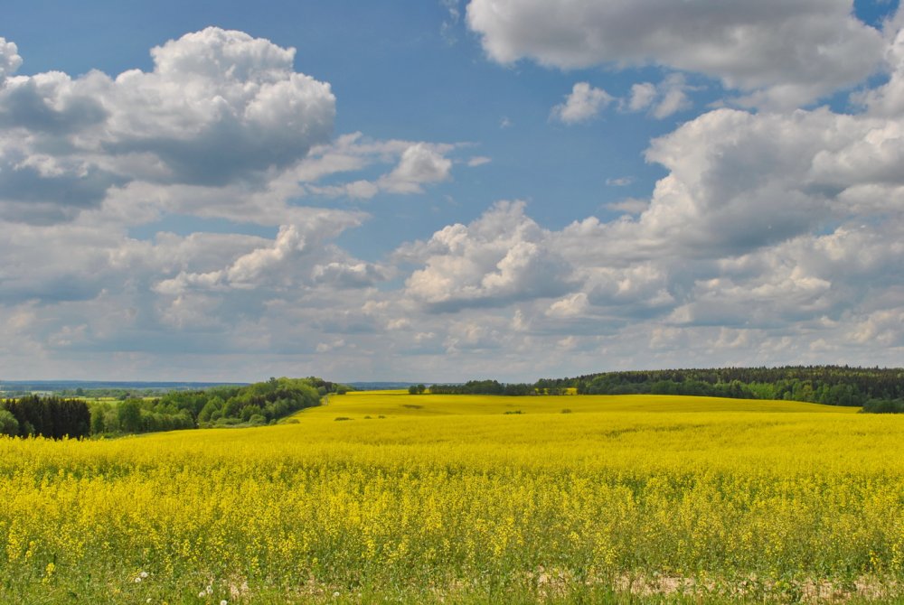 Просторы Белоруссии