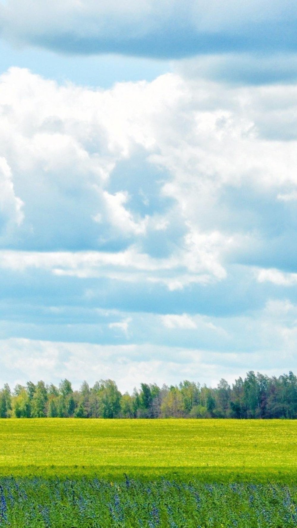 Летний пейзаж