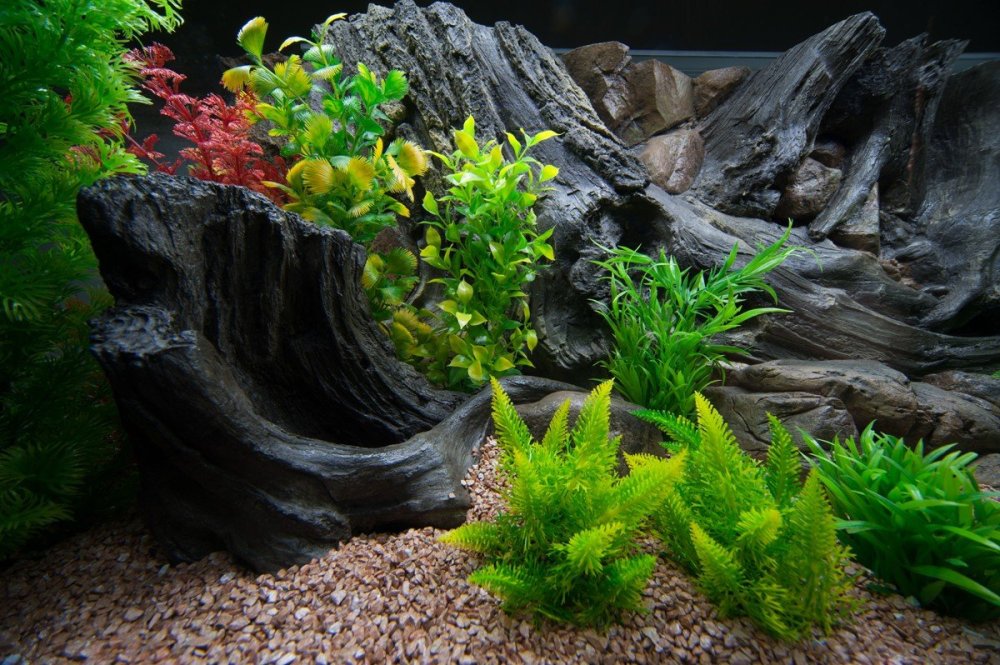 Фотофон для аквариума