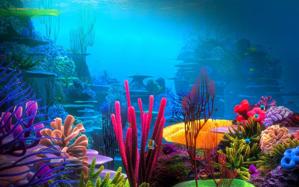 Коралловый риф Адлер достопримечательности