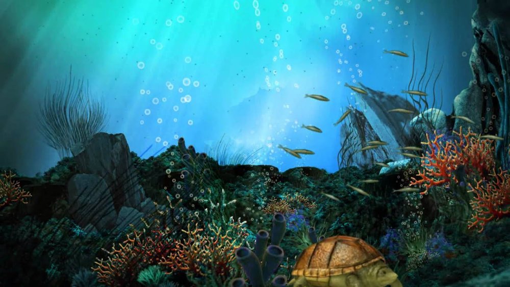 Морское дно