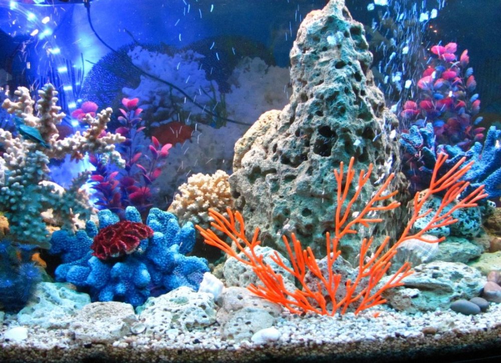 Задний фон для аквариума