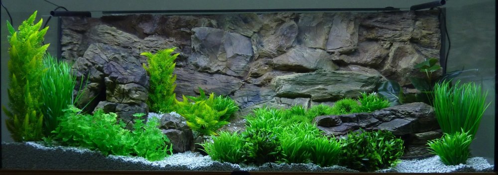 Однотонный фон для аквариума