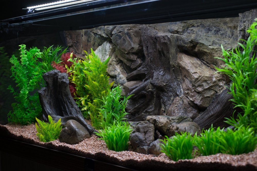 Задний фон для аквариума