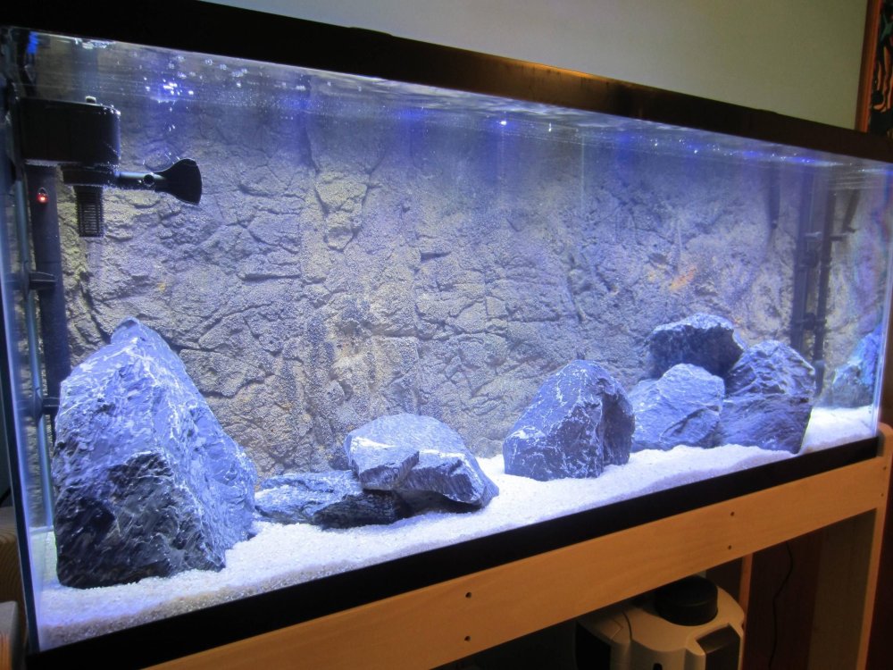 Объемный задний фон для аквариума