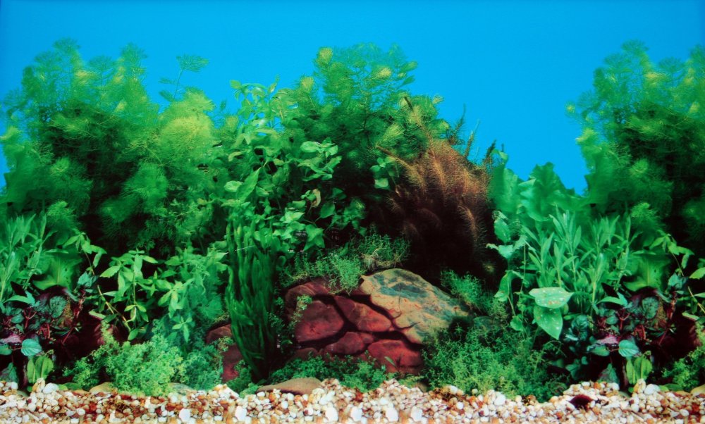 Экран для аквариума