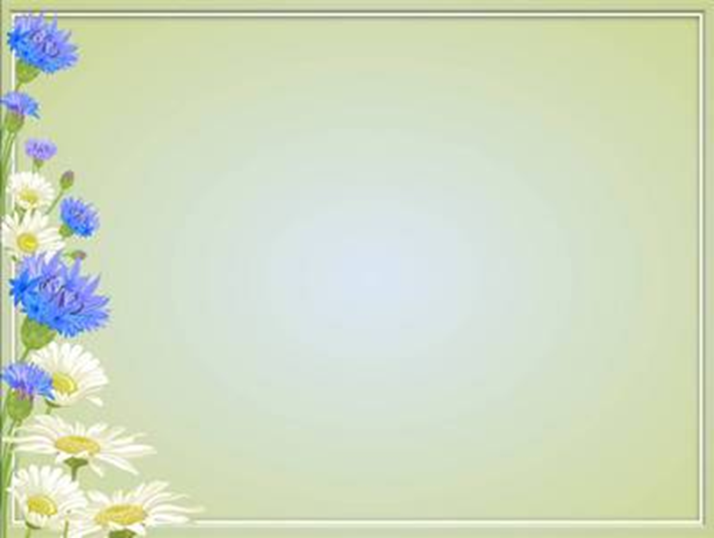 Фон для презентации с васильками
