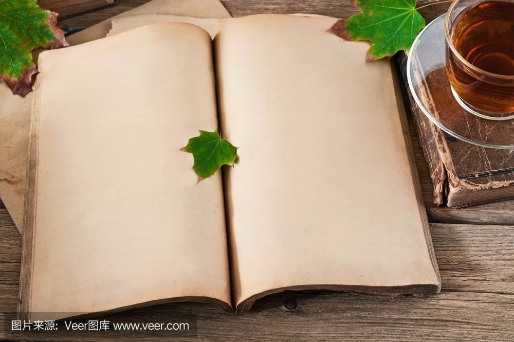 Раскрытая книга вид сверху