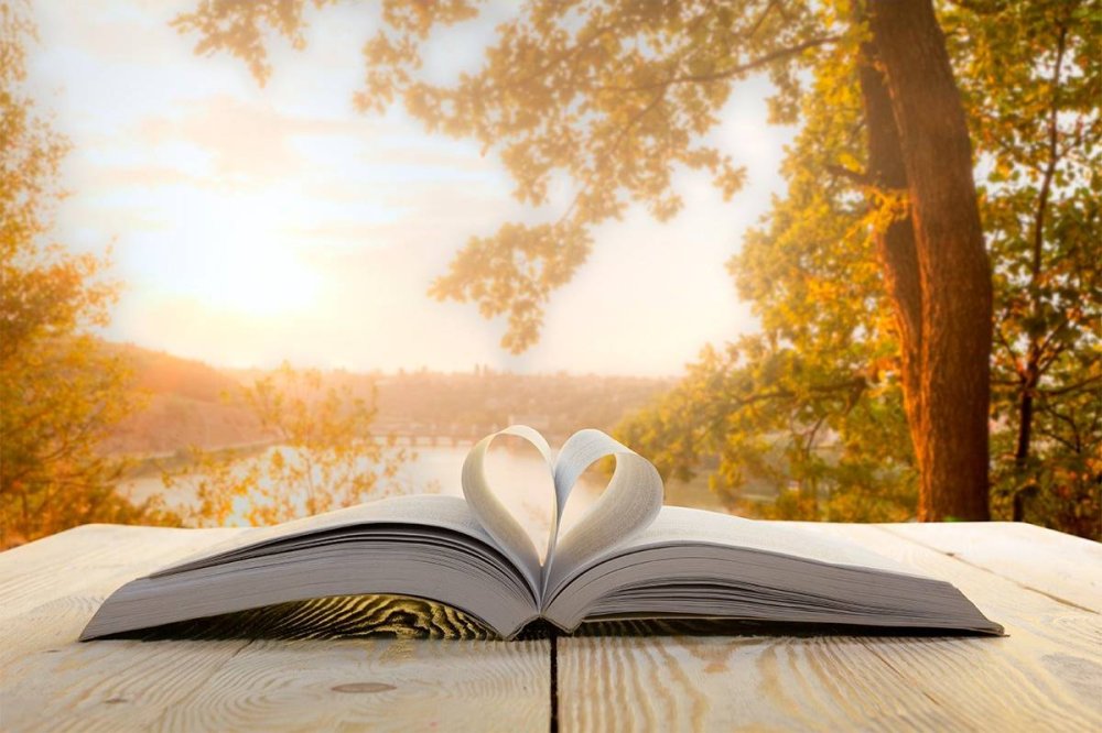 Раскрытая книга на размытом фоне