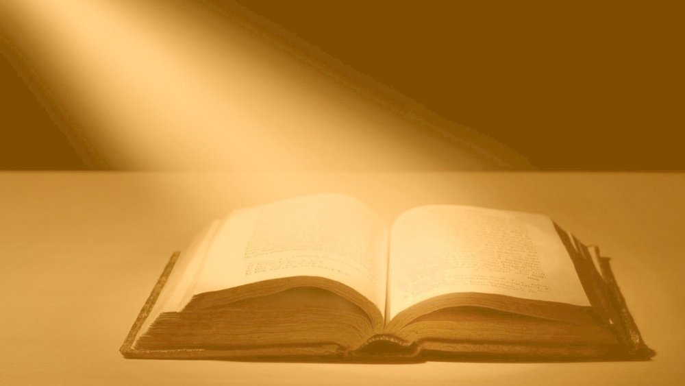 Книжный фон