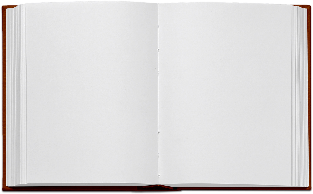 Книга с пустыми страницами