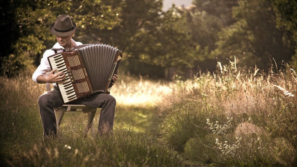 Баян на природе