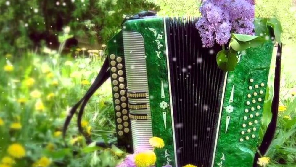 Гармошка на природе
