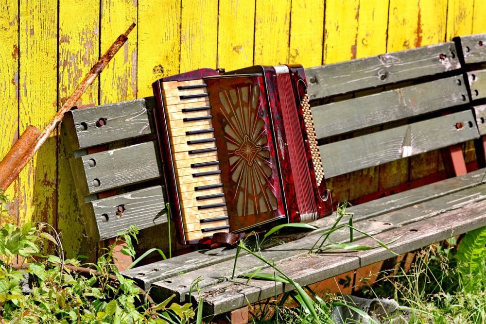 Одинокая гармонь на аккордеоне