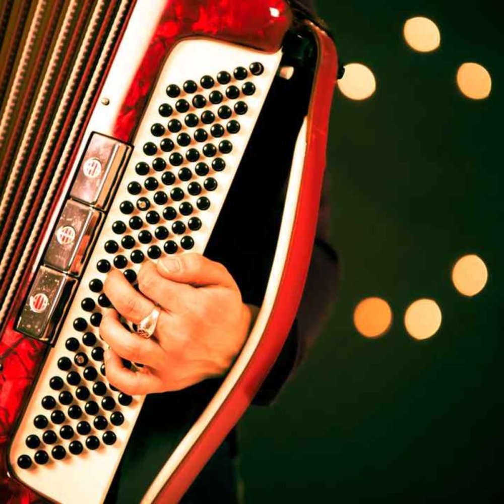 Игра на баяне