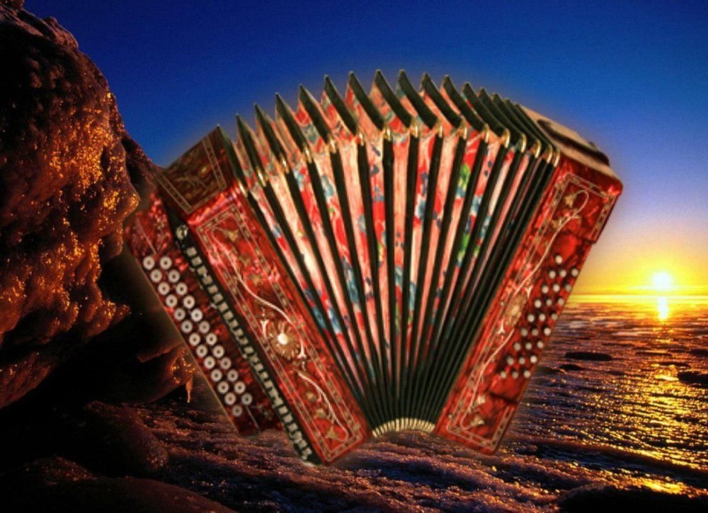 Красивые гармошки