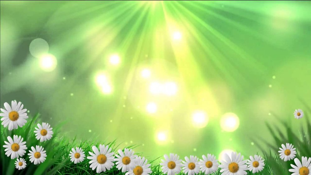 Фон для презентации ромашки