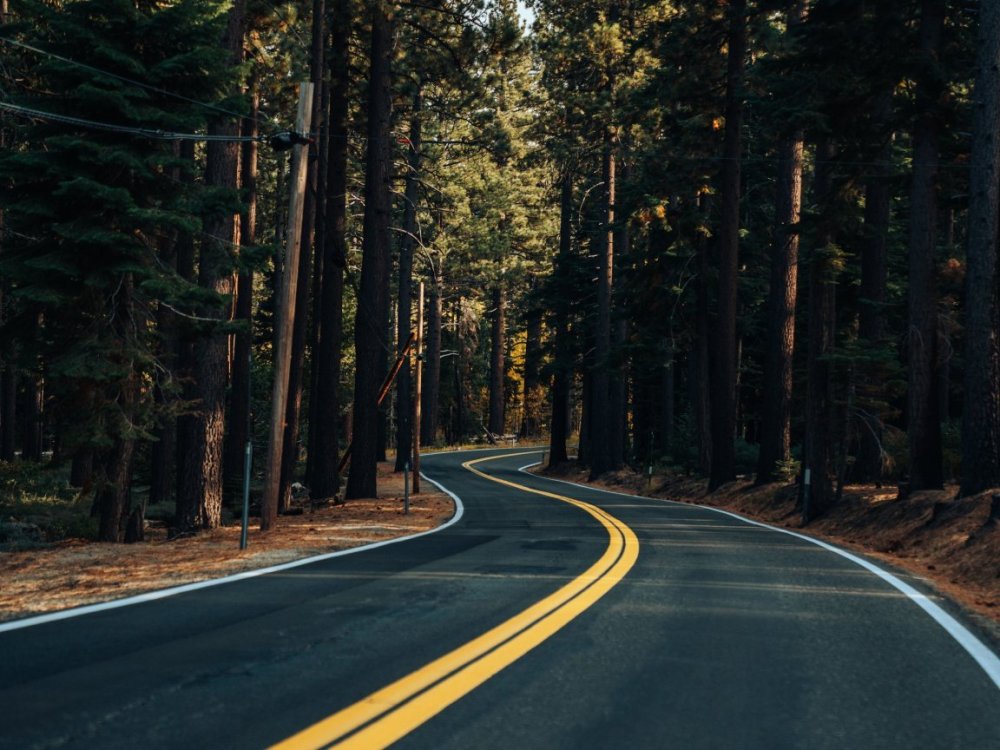 Дорога в лесу