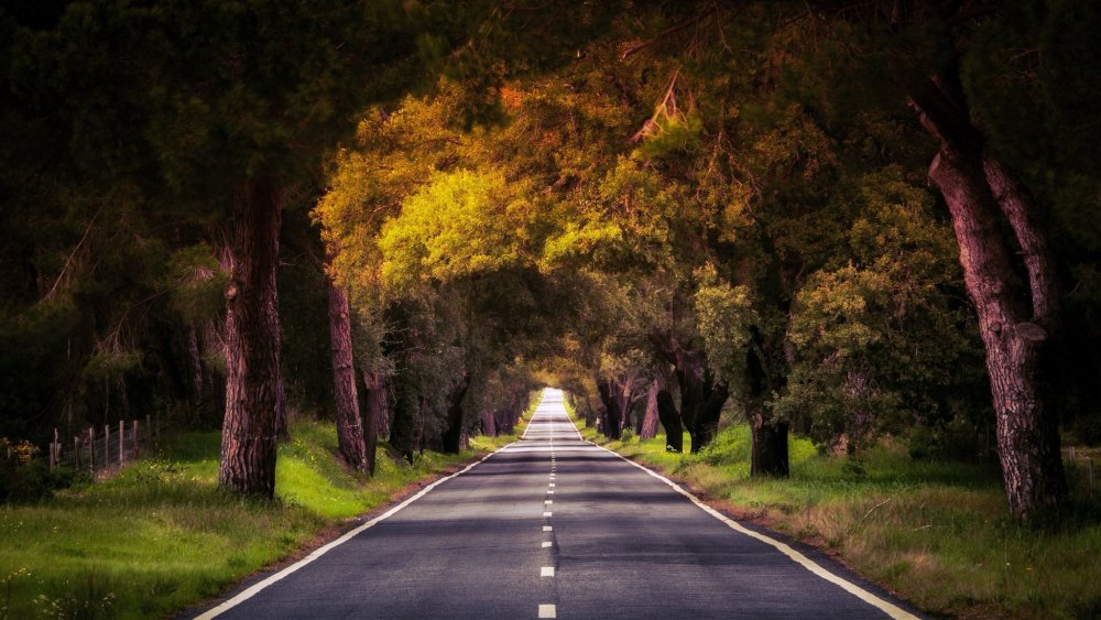 Заставка на рабочий стол дорога
