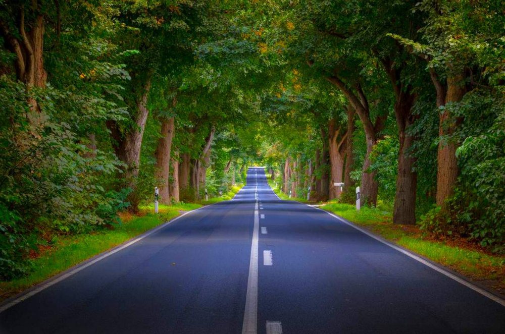 Красивые дороги