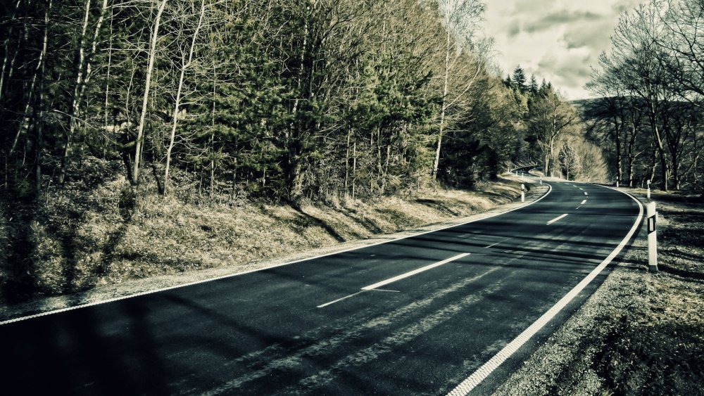 Трасса в лесу