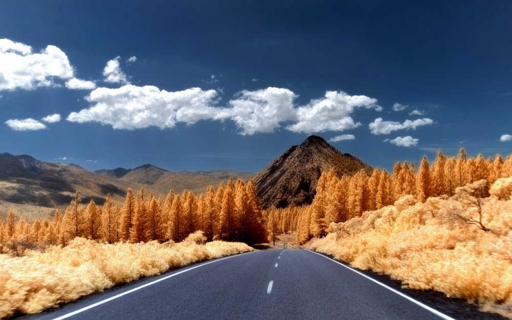 Фотообои дорога