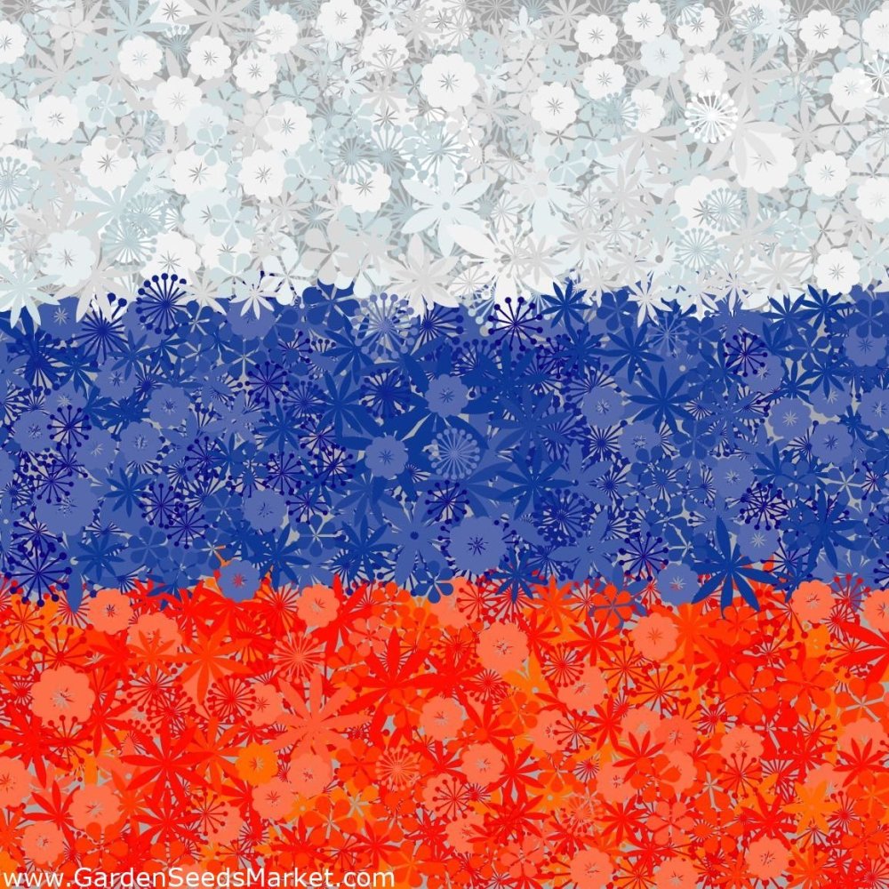 Флаг России красивый